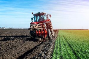 Credite în agricultură – ghid pe scurt pentru fermieri și antreprenori