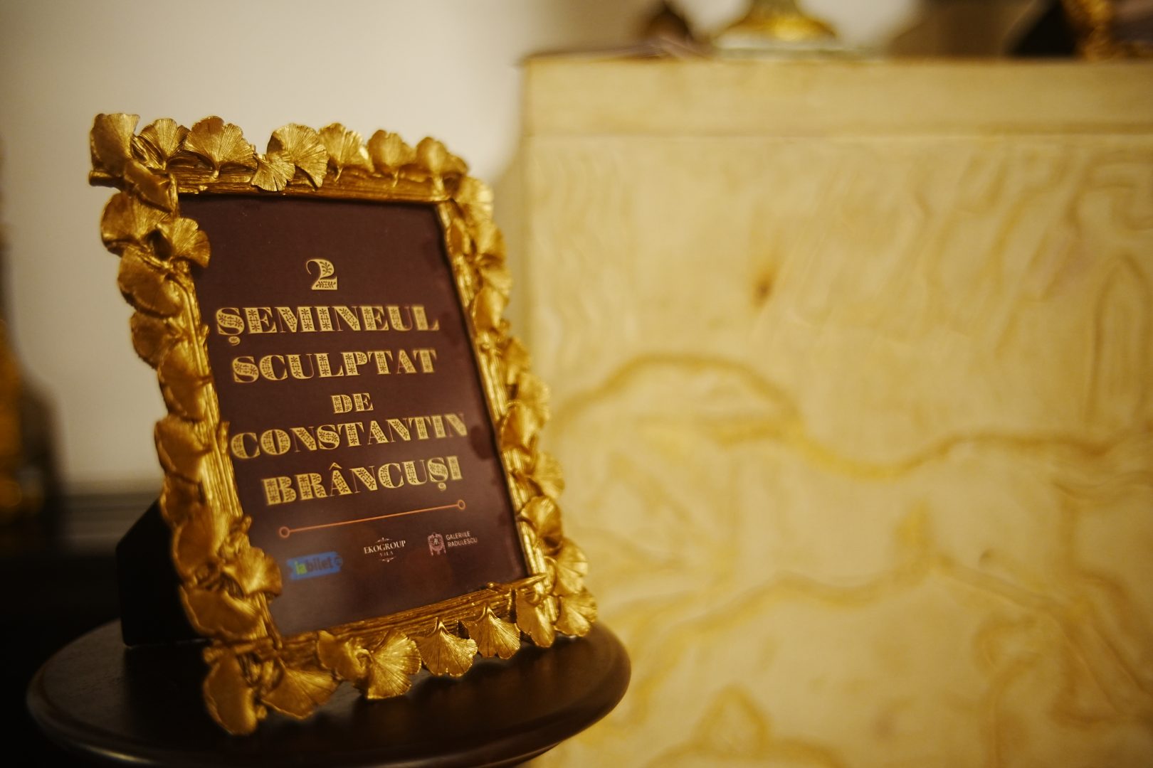 Casa Tătărescu: Martor al puterii și memoriei politice în inima Bucureștiului interbelic și în contemporaneitate la EkoGroup Vila